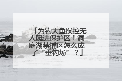 为钓大鱼操控无人艇进保护区！洞庭湖禁捕区怎么成了“垂钓场”？