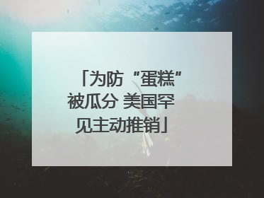 为防“蛋糕”被瓜分 美国罕见主动推销