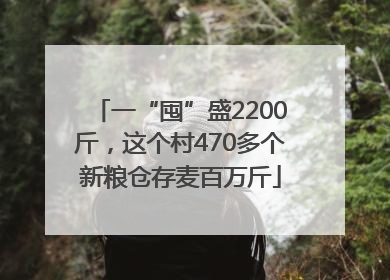 一“囤”盛2200斤，这个村470多个新粮仓存麦百万斤