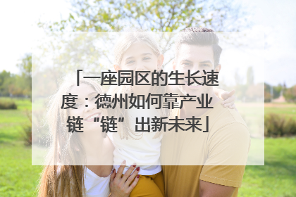 一座园区的生长速度：德州如何靠产业链“链”出新未来