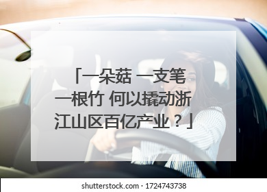 一朵菇 一支笔 一根竹 何以撬动浙江山区百亿产业？