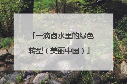 一滴卤水里的绿色转型（美丽中国）