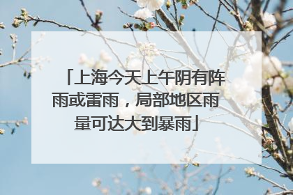 上海今天上午阴有阵雨或雷雨，局部地区雨量可达大到暴雨