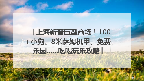 上海新晋巨型商场！100+小狗、8米萨姆机甲、免费乐园……吃喝玩乐攻略