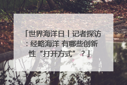 世界海洋日丨记者探访：经略海洋 有哪些创新性“打开方式”？