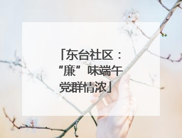 东台社区：“廉”味端午 党群情浓