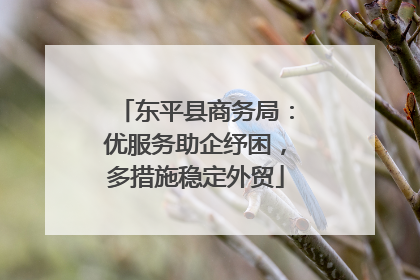 东平县商务局：优服务助企纾困，多措施稳定外贸