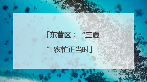 东营区：“三夏”农忙正当时