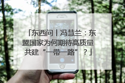 东西问丨冯慧兰：东盟国家为何期待高质量共建“一带一路”？