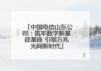 中国电信山东公司：筑牢数字新基建基座 引领万兆光网新时代