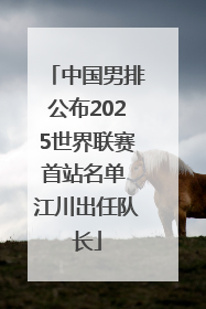 中国男排公布2025世界联赛首站名单 江川出任队长