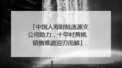中国人寿财险涟源支公司助力，十甲村黄桃销售难题迎刃而解