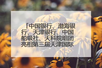 中国银行、渤海银行、天津银行、中国船级社、天科院组团亮相第三届天津国际航运展 输出航运服务“中国方案”
