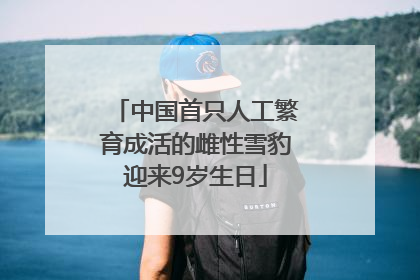 中国首只人工繁育成活的雌性雪豹迎来9岁生日