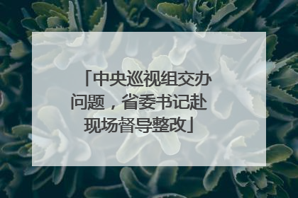 中央巡视组交办问题，省委书记赴现场督导整改