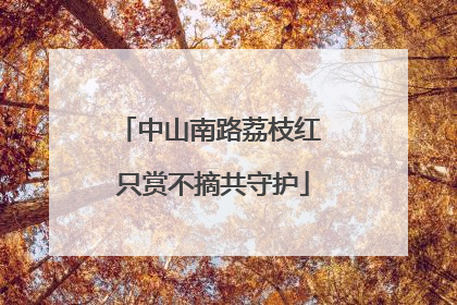 中山南路荔枝红 只赏不摘共守护