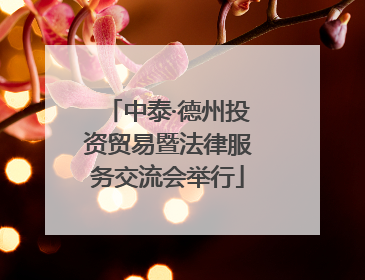 中泰·德州投资贸易暨法律服务交流会举行