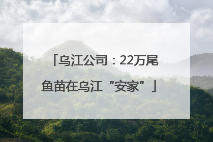 乌江公司：22万尾鱼苗在乌江“安家”