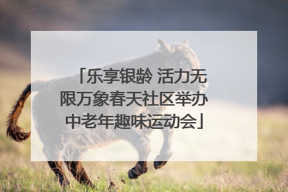 乐享银龄 活力无限万象春天社区举办中老年趣味运动会