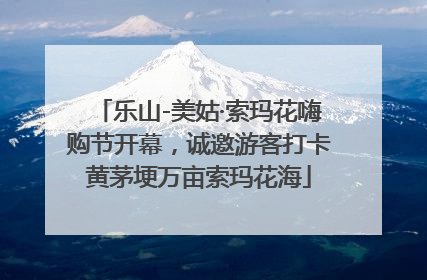 乐山-美姑·索玛花嗨购节开幕，诚邀游客打卡黄茅埂万亩索玛花海