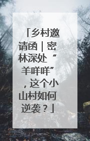 乡村邀请函｜密林深处“羊咩咩”，这个小山村如何逆袭？