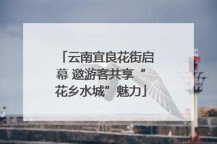云南宜良花街启幕 邀游客共享“花乡水城”魅力