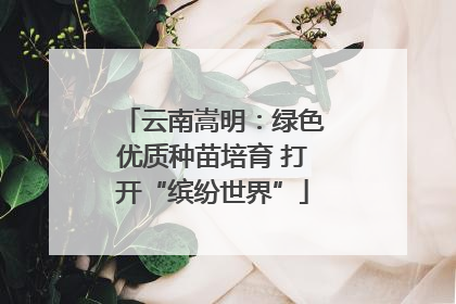 云南嵩明：绿色优质种苗培育 打开“缤纷世界”