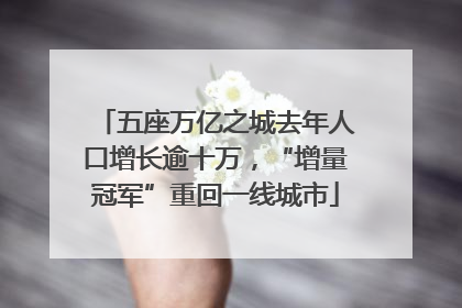 五座万亿之城去年人口增长逾十万，“增量冠军”重回一线城市