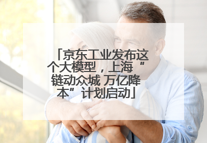 京东工业发布这个大模型，上海“链动众城 万亿降本”计划启动