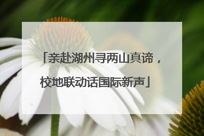 亲赴湖州寻两山真谛，校地联动话国际新声