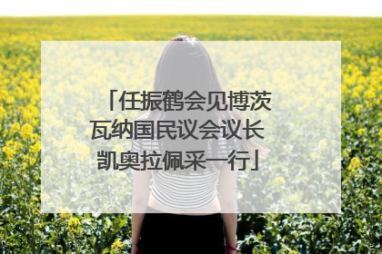 任振鹤会见博茨瓦纳国民议会议长凯奥拉佩采一行