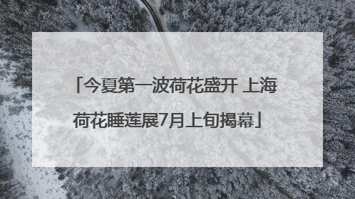 今夏第一波荷花盛开 上海荷花睡莲展7月上旬揭幕