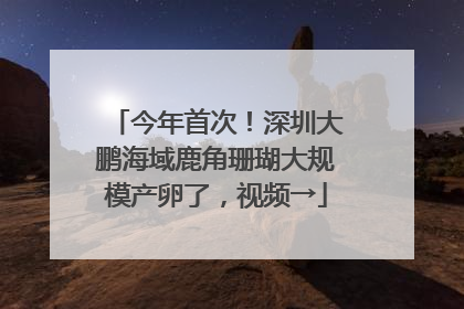 今年首次！深圳大鹏海域鹿角珊瑚大规模产卵了，视频→