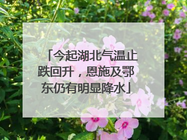 今起湖北气温止跌回升，恩施及鄂东仍有明显降水
