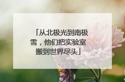 从北极光到南极雪，他们把实验室搬到世界尽头