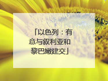 以色列：有意与叙利亚和黎巴嫩建交