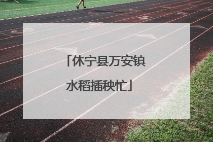休宁县万安镇水稻插秧忙