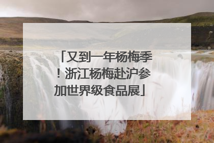 又到一年杨梅季！浙江杨梅赴沪参加世界级食品展