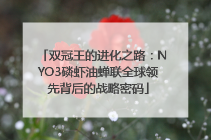 双冠王的进化之路：NYO3磷虾油蝉联全球领先背后的战略密码