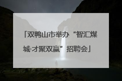 双鸭山市举办“智汇煤城·才聚双赢”招聘会