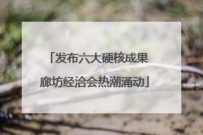 发布六大硬核成果 廊坊经洽会热潮涌动