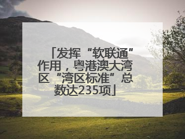 发挥“软联通”作用，粤港澳大湾区“湾区标准”总数达235项