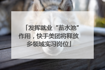 发挥就业“蓄水池”作用，快手美团将释放多领域实习岗位