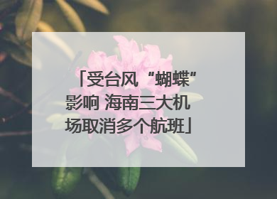 受台风“蝴蝶”影响 海南三大机场取消多个航班