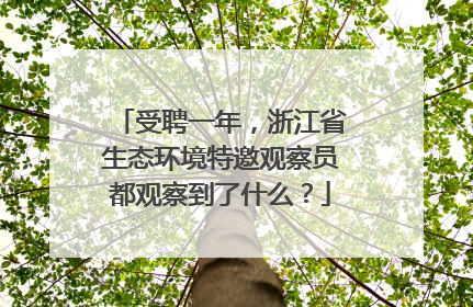 受聘一年，浙江省生态环境特邀观察员都观察到了什么？