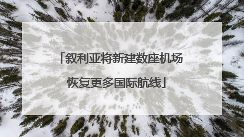 叙利亚将新建数座机场 恢复更多国际航线