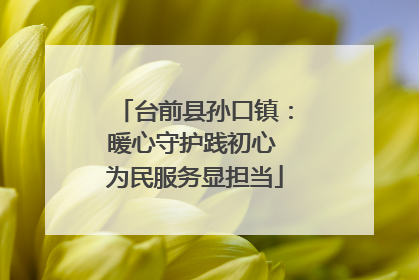台前县孙口镇：暖心守护践初心 为民服务显担当