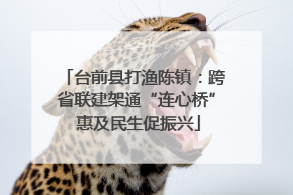 台前县打渔陈镇：跨省联建架通“连心桥” 惠及民生促振兴
