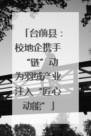 台前县：校地企携手“链”动 为羽绒产业注入“匠心动能”
