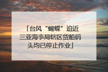 台风“蝴蝶”迫近 三亚海事局辖区货船码头均已停止作业